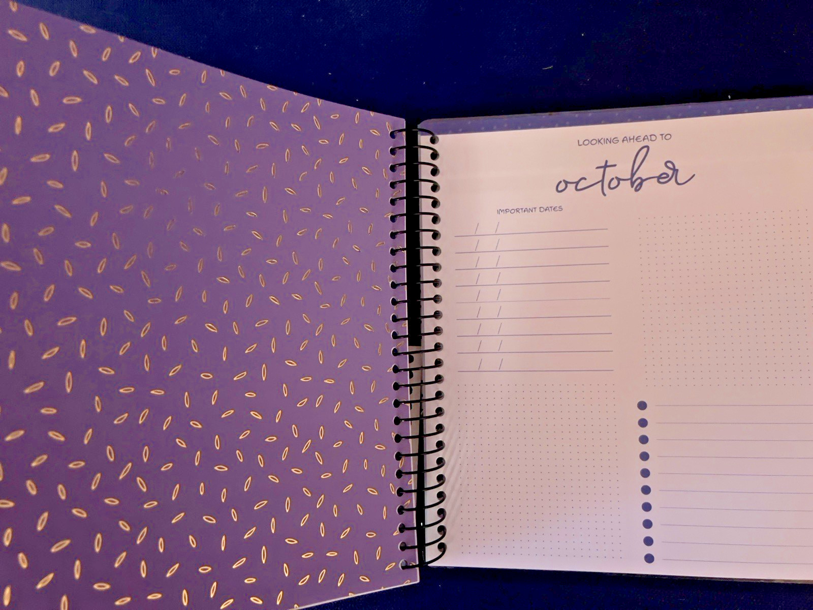 17 Month Planner SHINE BRIGHT Aug 2025 – Dec 2026 Weekly Planning Note Page Gift