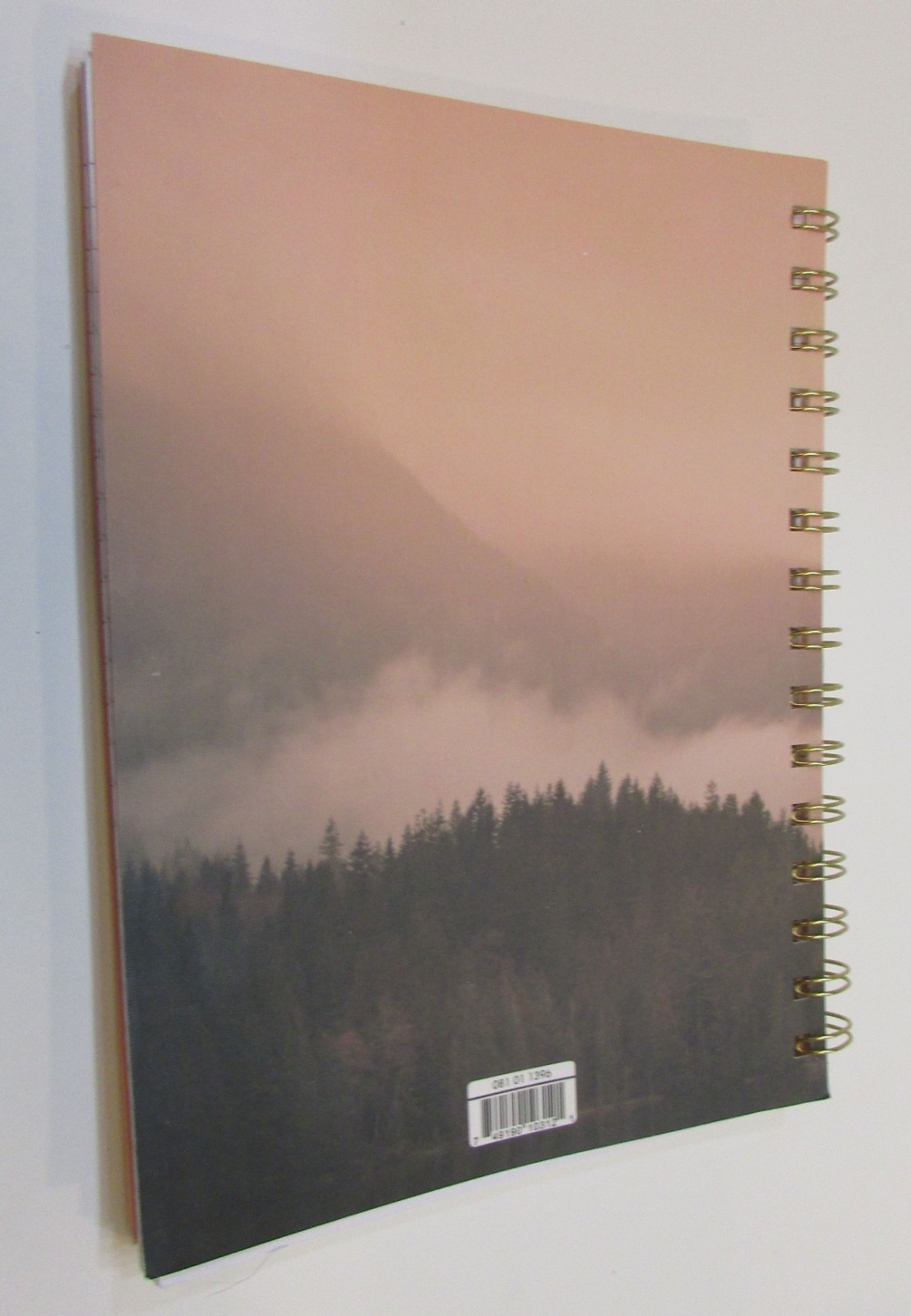 New Compendium 6×8 Mountain Forest Softcover Spiral Journal Choose Your Path
