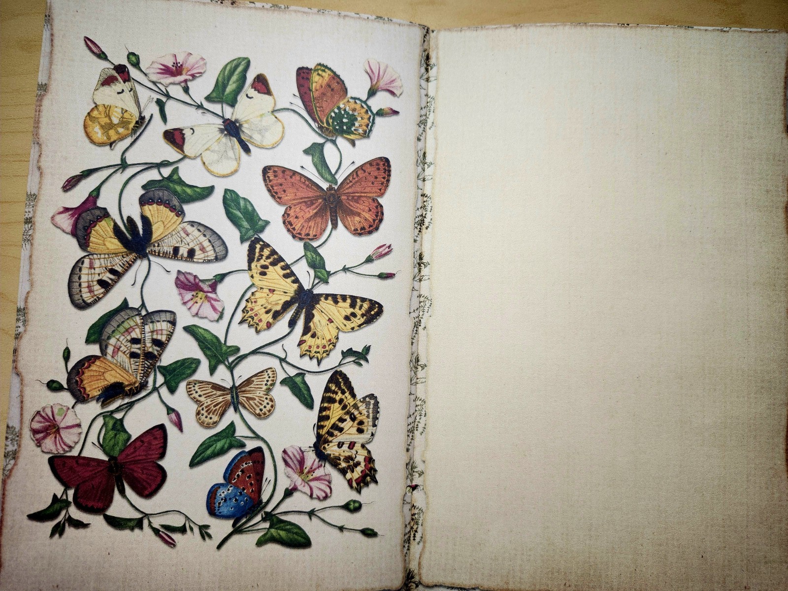 Junk Journal Booklet “BOTANY” Handmade Botanical Wildflowers Lg 8.5″x5.5″ 40pgs