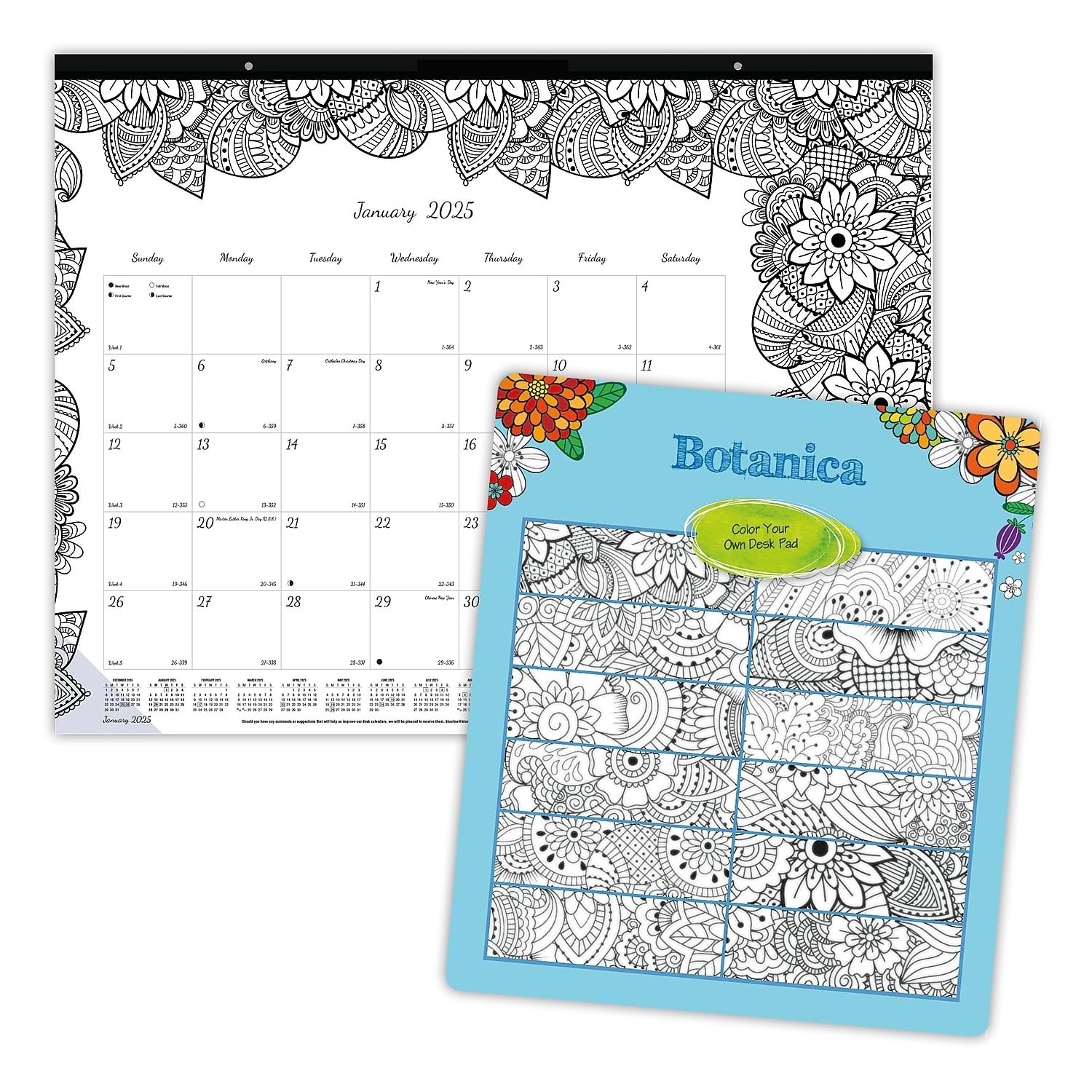 2025 Blueline DoodlePlan Botanica 22-inch x 17-inch Monthly Coloring Black