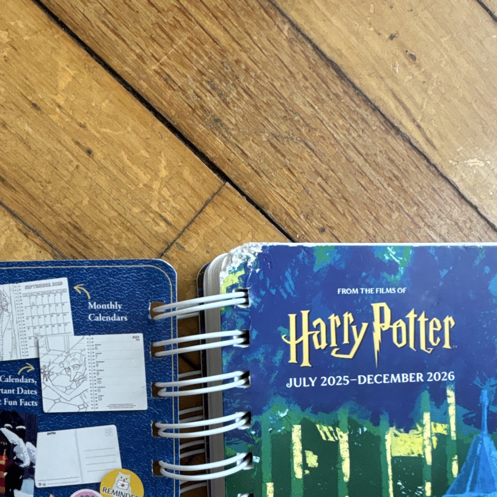 Thunder Bay Press Harry Potter Magical Moments Weekly/Monthly Planner 2025-2026