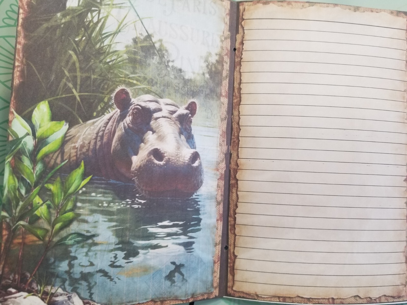 Junk Journal Blank Booklet “WILD KINGDOM” Nature HANDMADE LG 8.5″x5.5″ 40pg