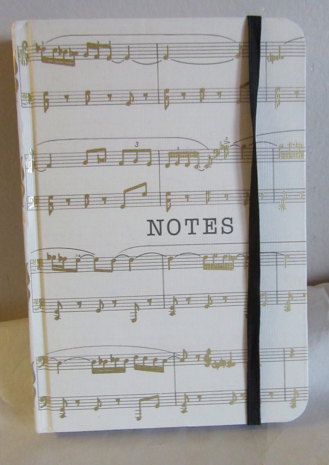 Molly & Rex Designer Music Notebook Diary 7 x 4.75″