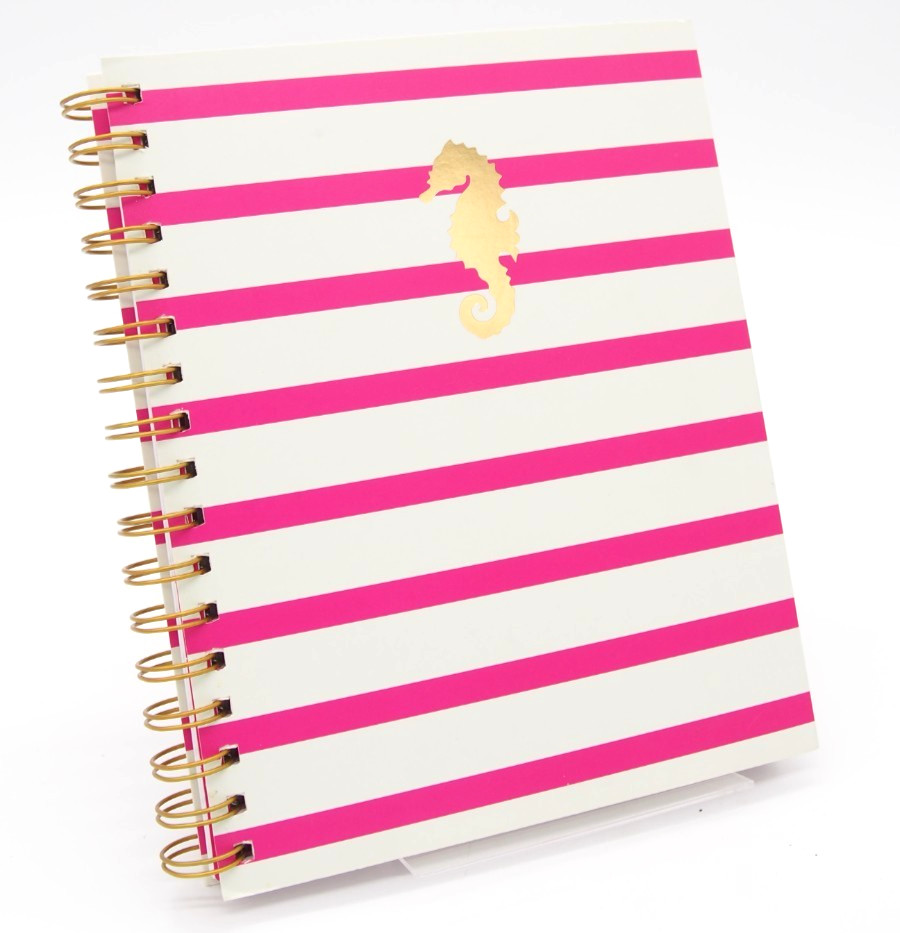 Class Act SET SAIL Nautical Pink White Seahorse Spiral Notebook Journal 120p New