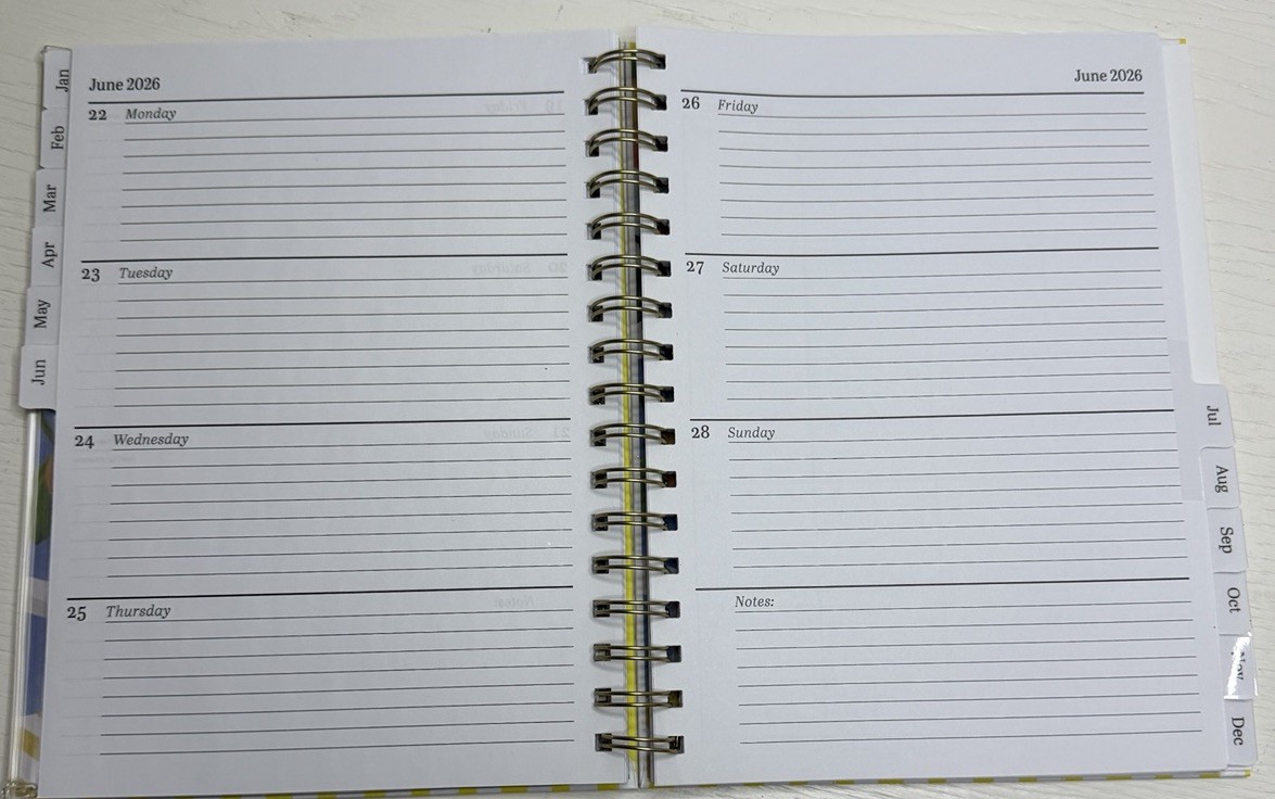 Recollections 2026 Weekly/Monthly Planner 7 x 9 in Yellow Striped Ciao
