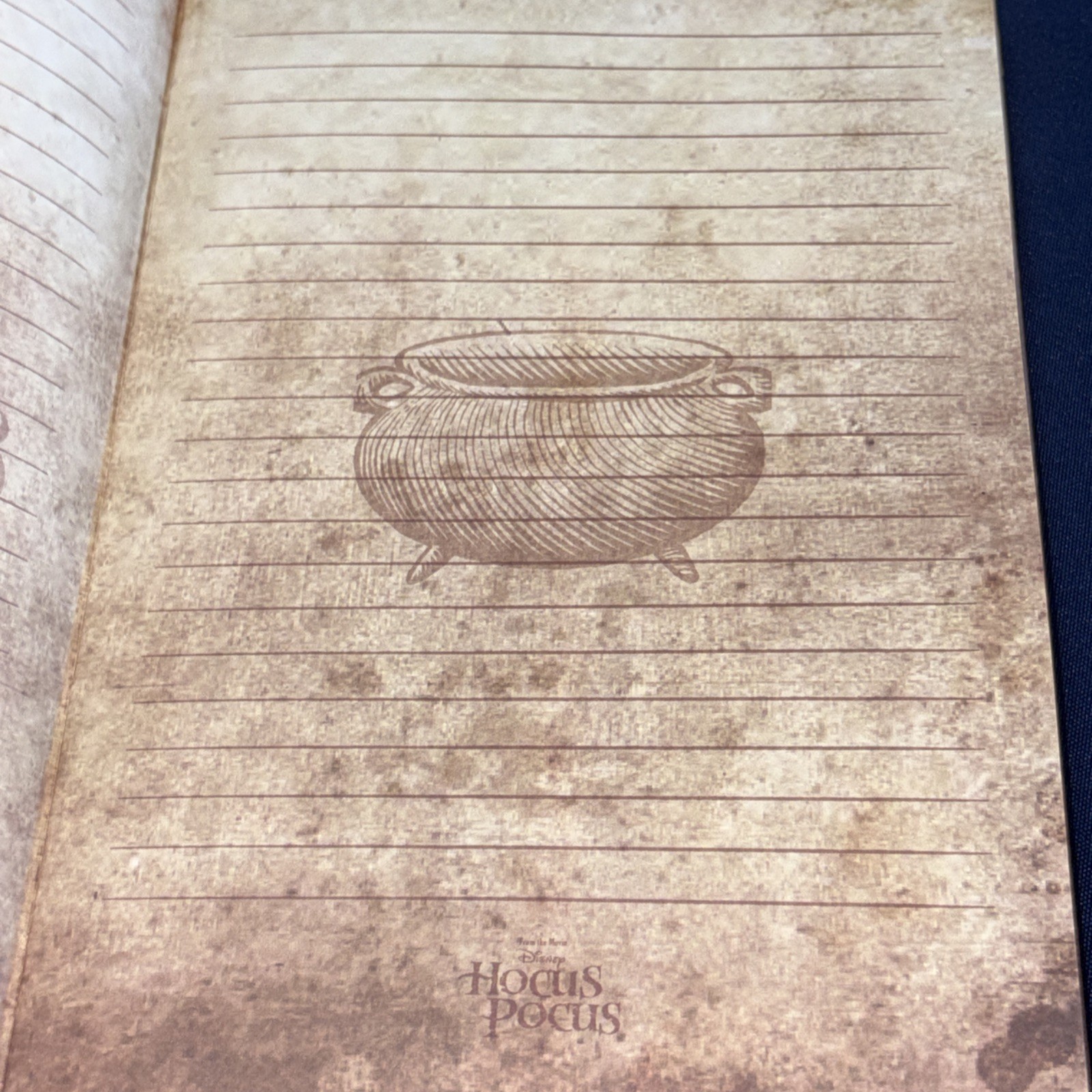 Disney Hocus Pocus 1693 Leatherbound Journal Notebook Spell Book New Unused