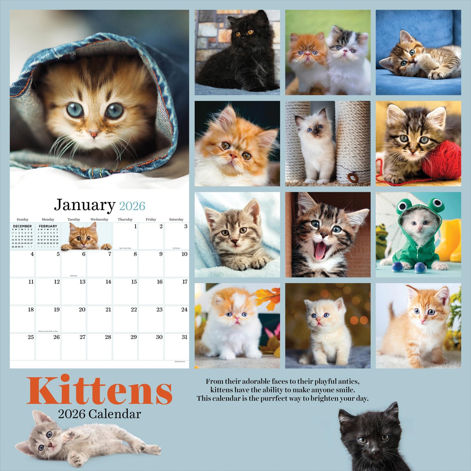 TF Publishing 2026 Kittens Wall Calendar – Large Grids for Appointments Multi