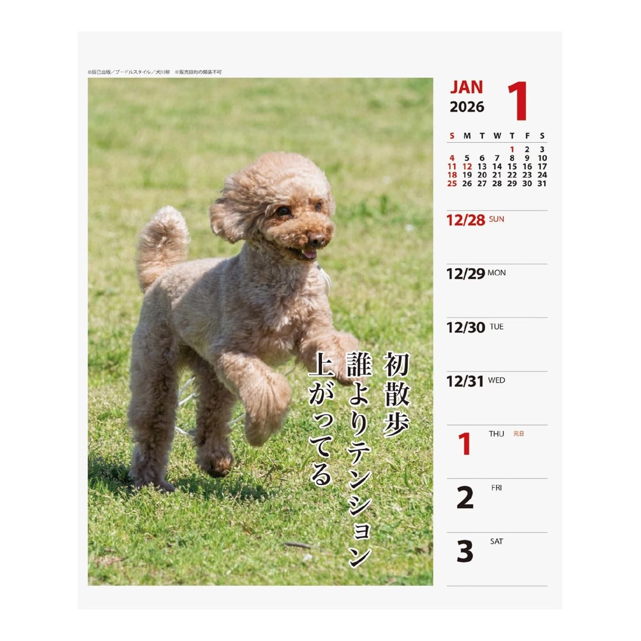 Art Print Japan 2026 Calendar Poodle Senryu Weekly