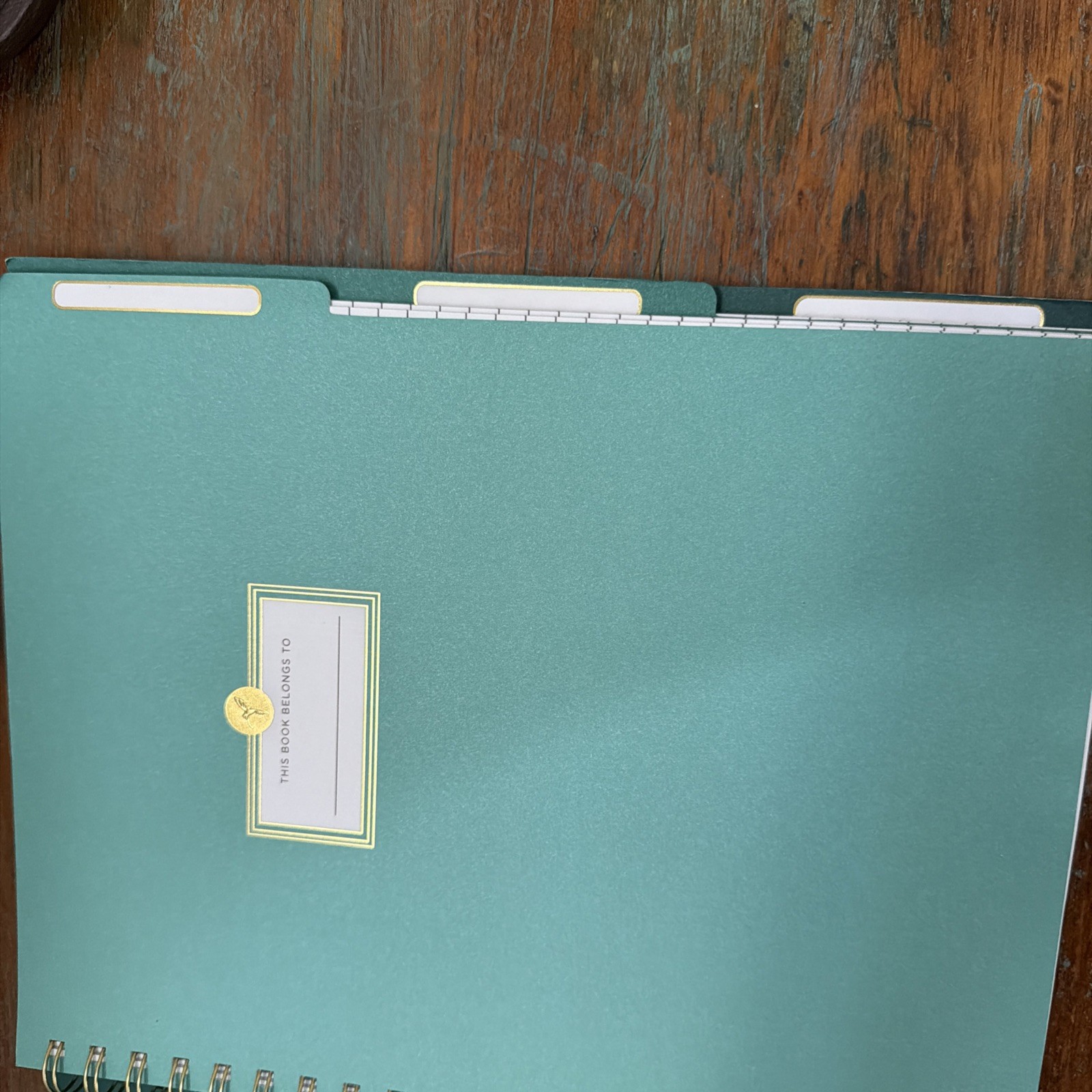 Papyrus Express Beautifully 9” X 11” Notebook. 228 Lined Pages W/Dividers. New.