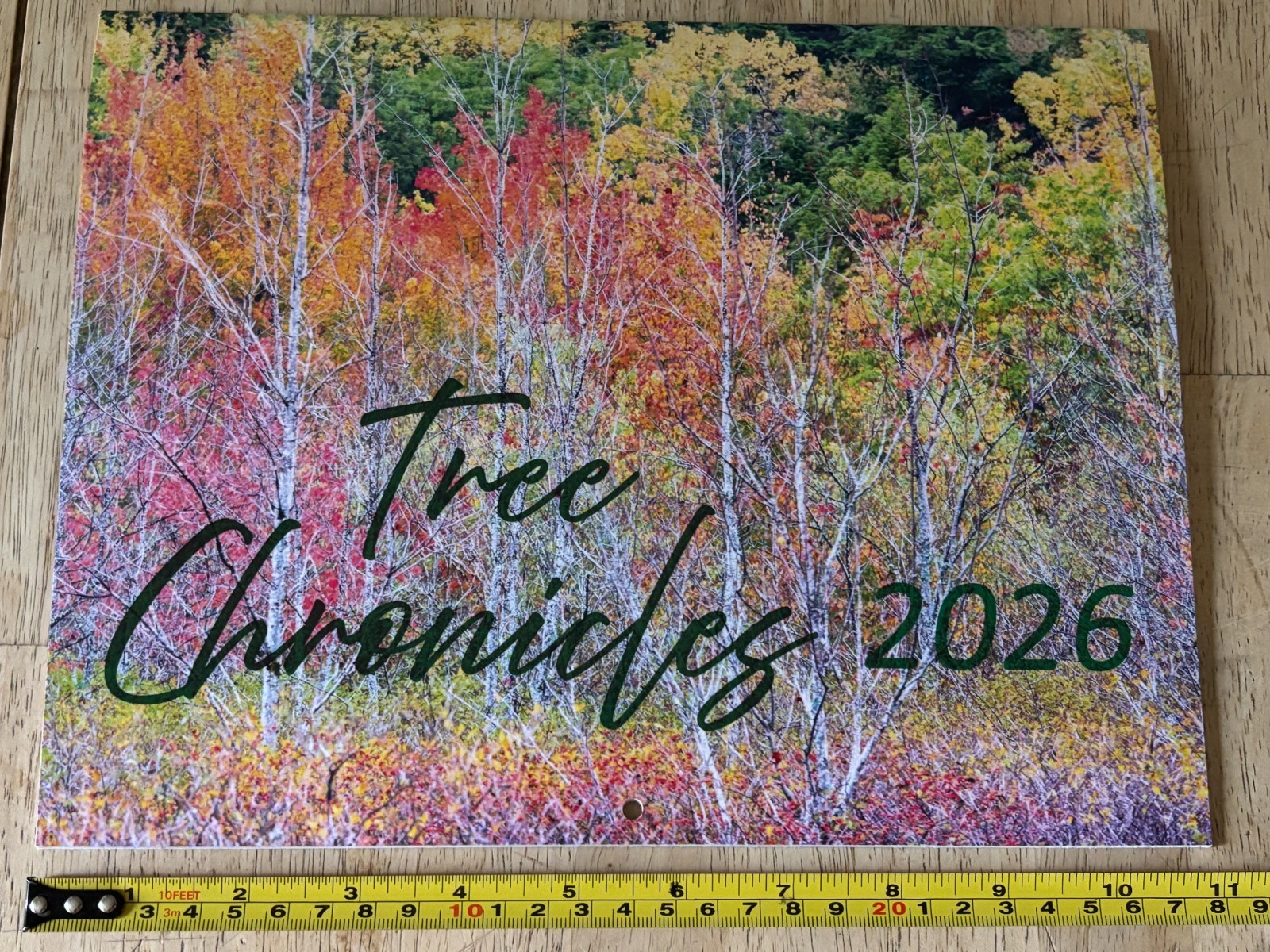 Tree Chronicles – 2026- 12-Month Wall Calendar – Great Tree Photography!