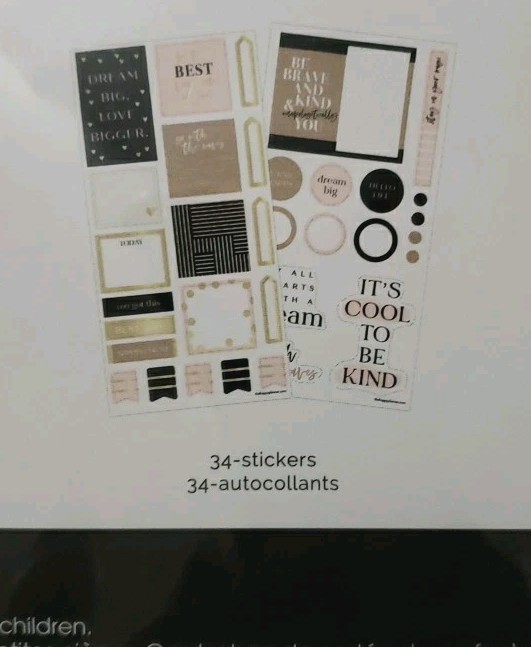 The Happy Planner Blushin’ It Classic Planner Companion Accessories 63 Pieces