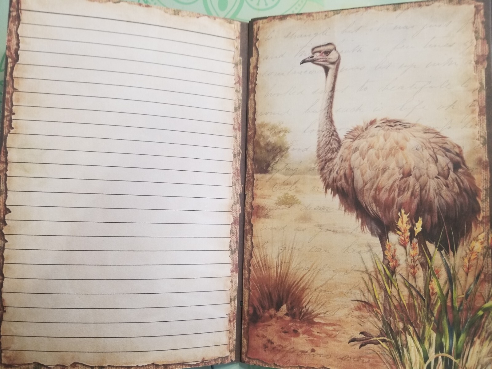 Junk Journal Blank Booklet “WILD KINGDOM” Nature HANDMADE LG 8.5″x5.5″ 40pg