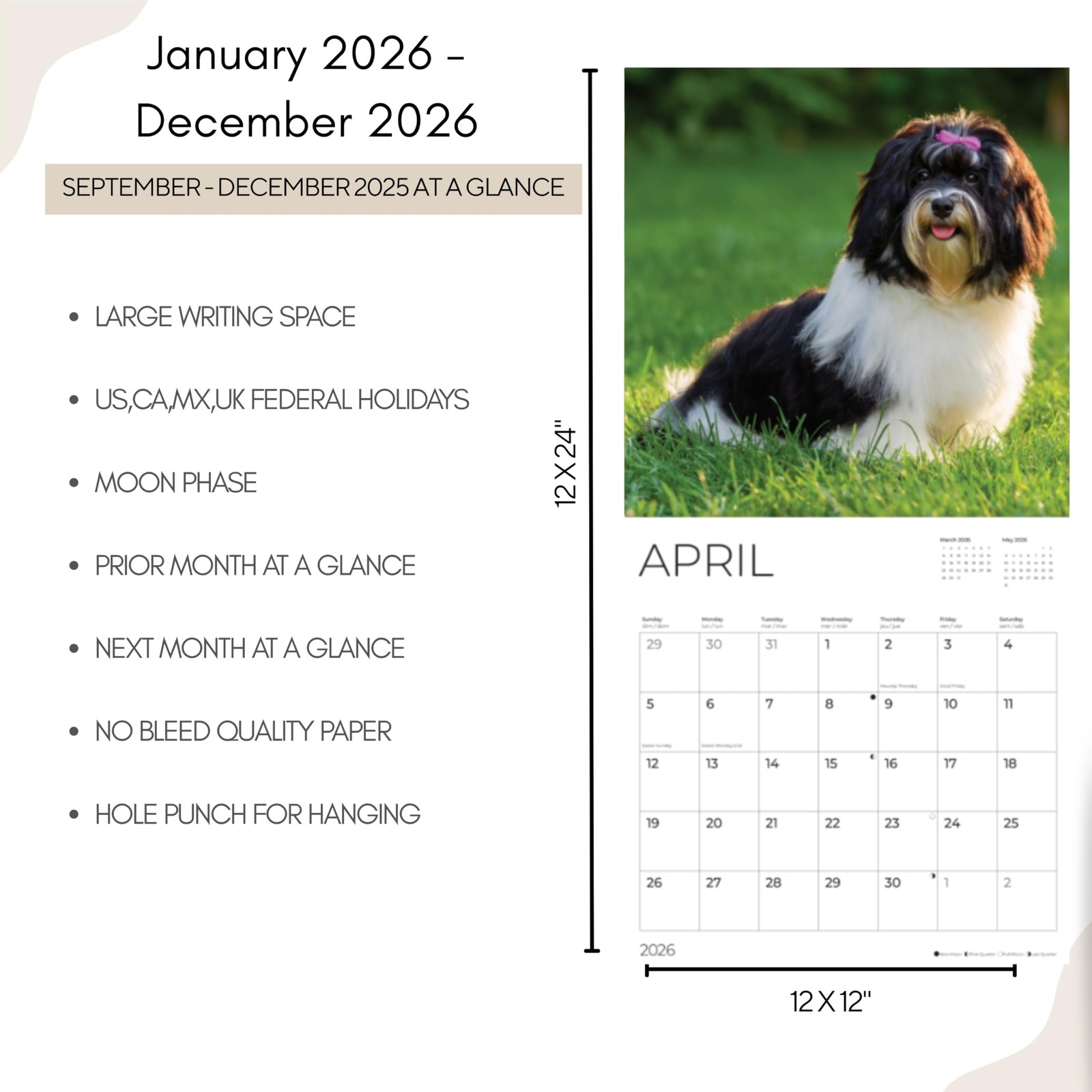 Havanese 2026 Wall Calendar | 12″ x 24″ Open | Dog