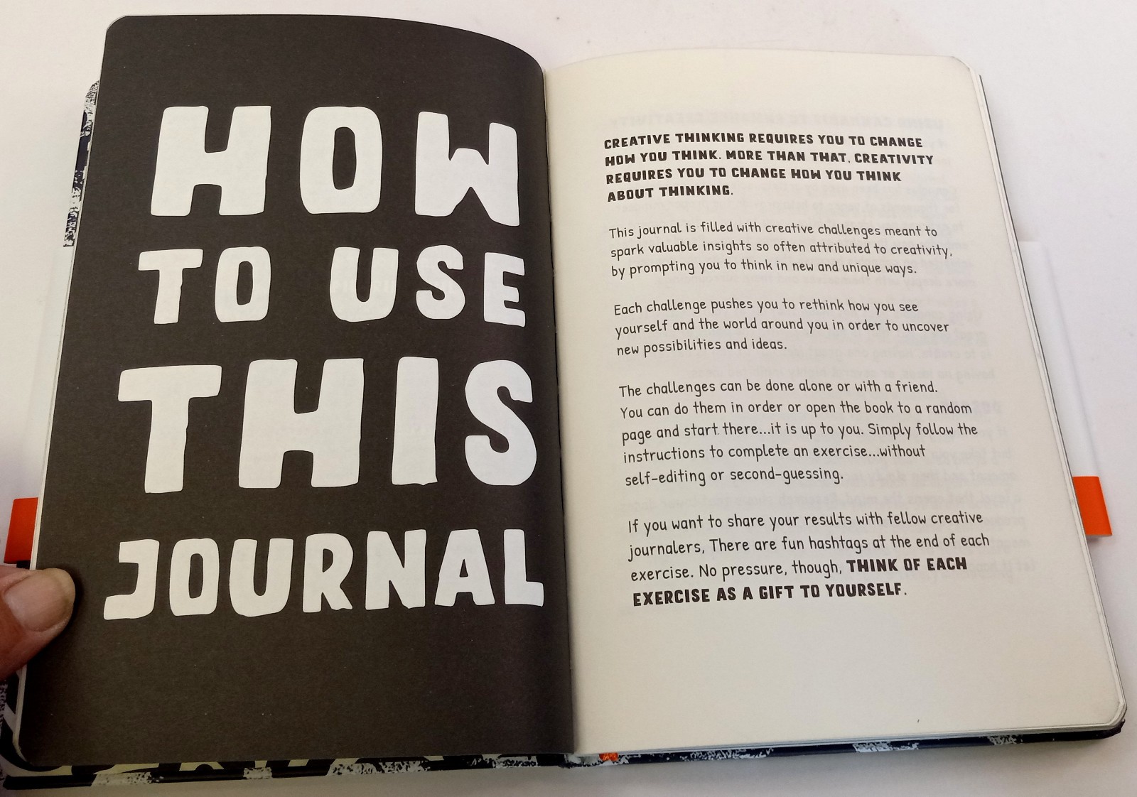 Creative Thinking Journal: Please Use this Journal While High Pilgrim Soul Blank