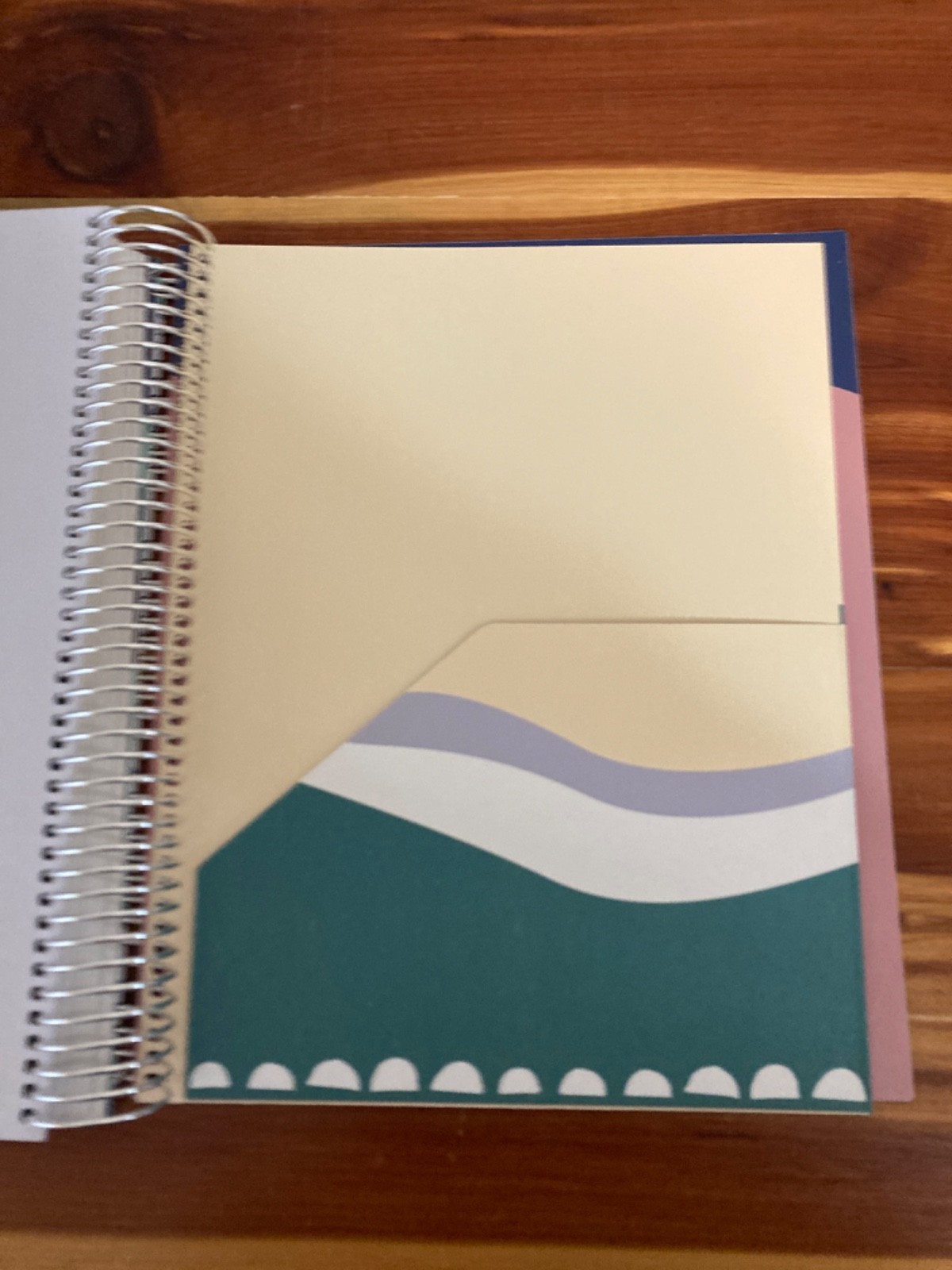 NEW The Budget Mom Live Rich Planner (Small) and Pink Folio