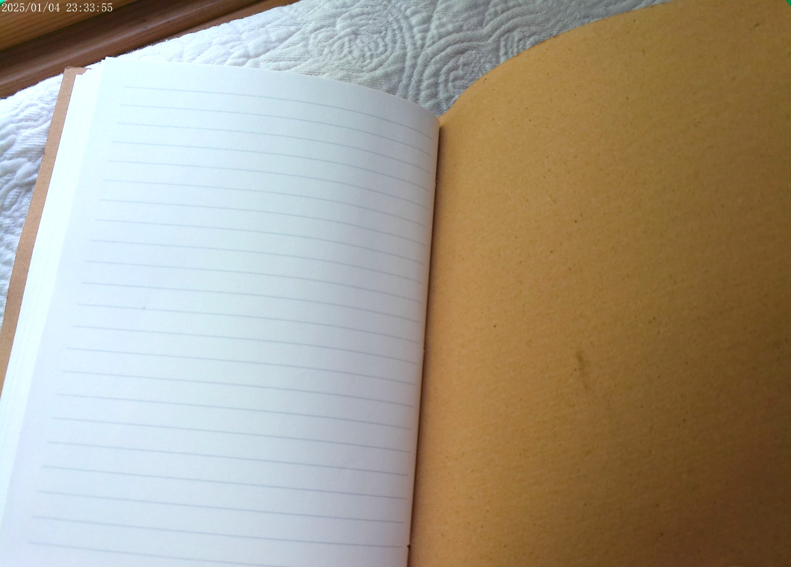 GENUINE LEATHER HANDMADE 144 LINED PAGES INDIA EMBOSSED COMPASS RUSTIC BROWN #1