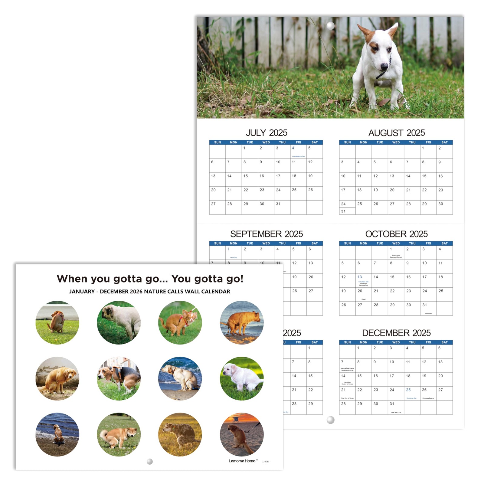 2026 Funny Calendar – Gag Gifts, Dogs Pooping Calendar 2026, 11″ x 17″ (Open), J