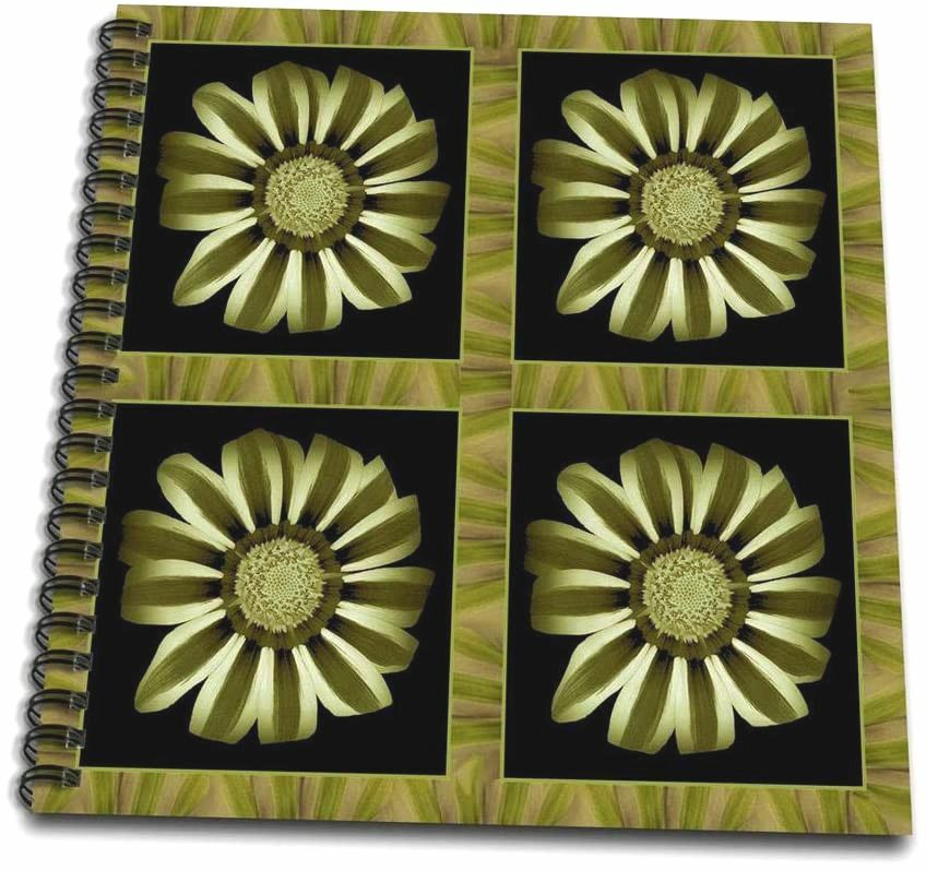 3dRose 3D Rose Four Green Striped Olive and Khaki Flower Petal Border-Memory Boo