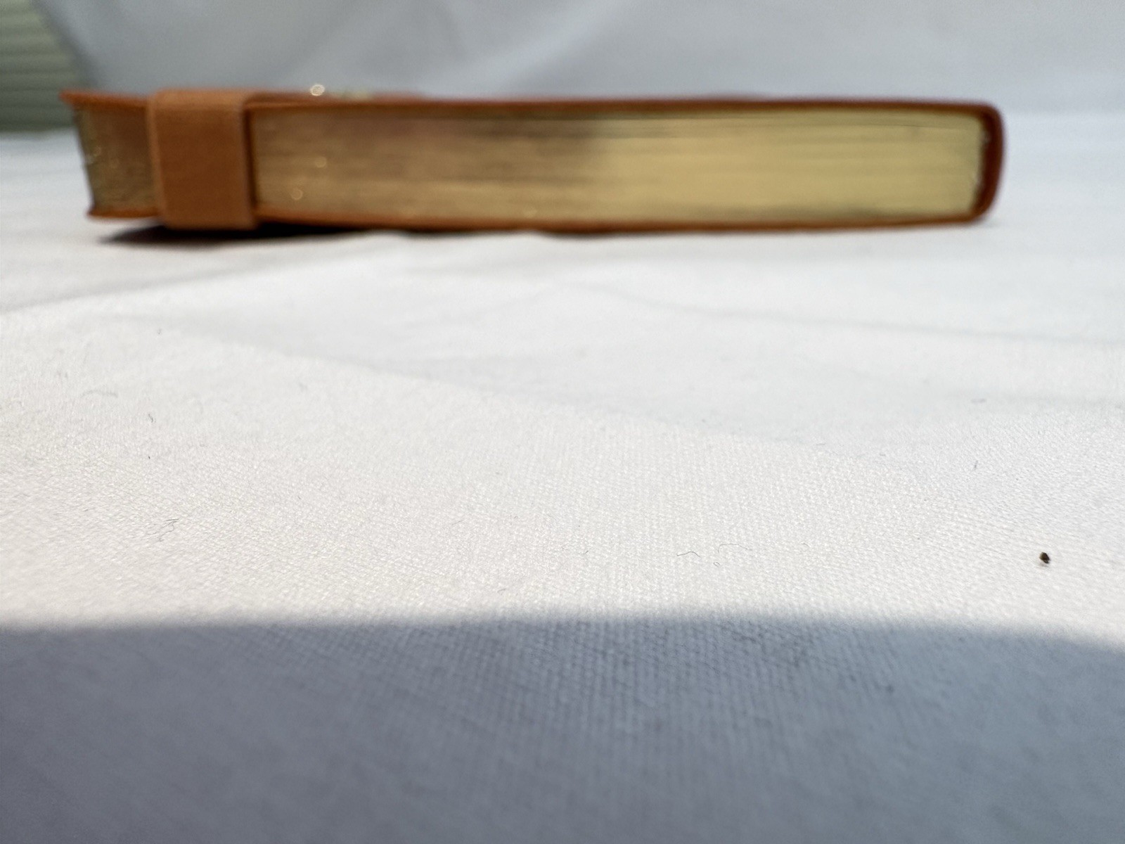 PAPYRUS Brown Ruled Gilded Notebook Journal 240 Pages Ivory Lined 6 x 8 GIFT