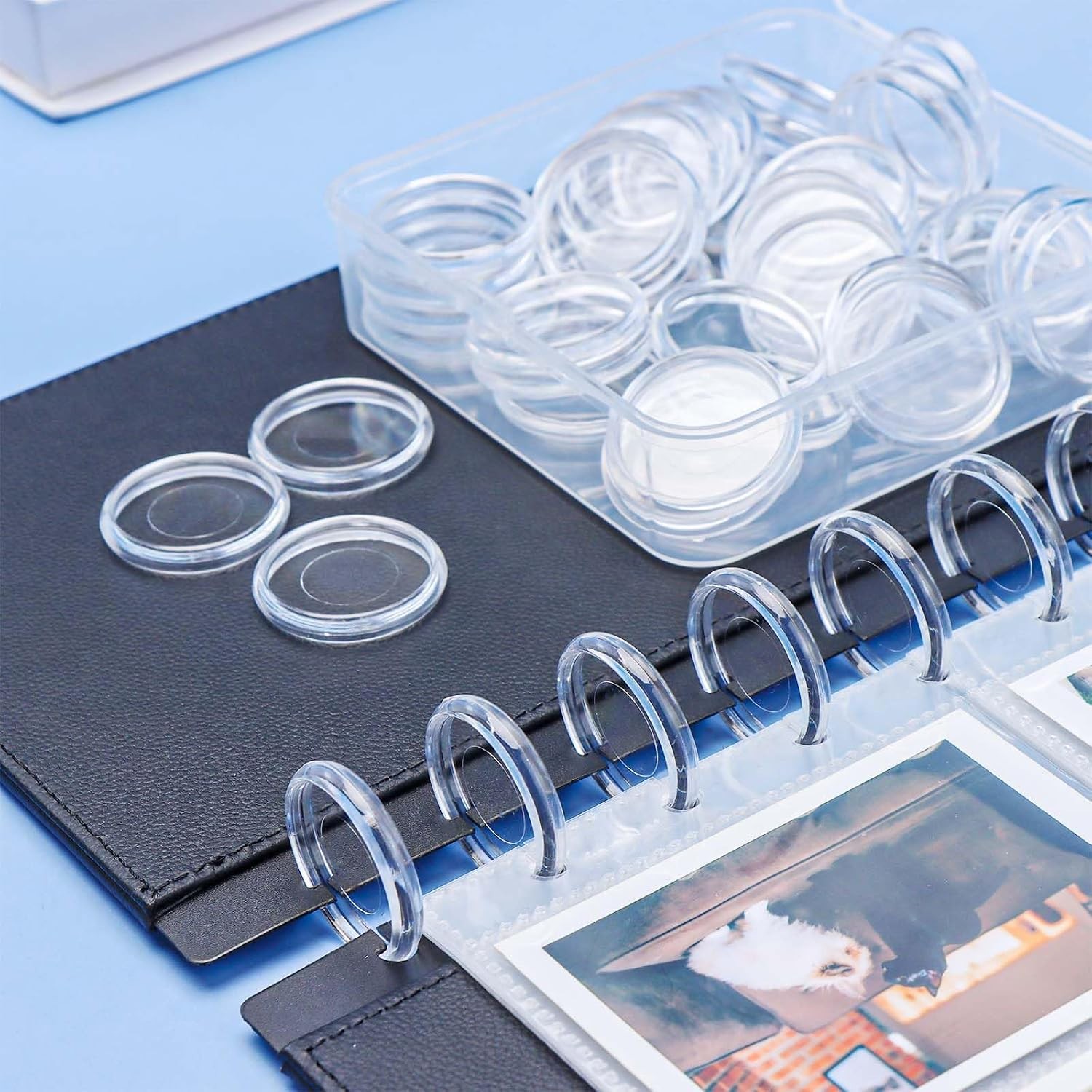 Clear 1.1″ Expansion Discbound Planner Discs Mushroom Bin 50 Pack Expansion
