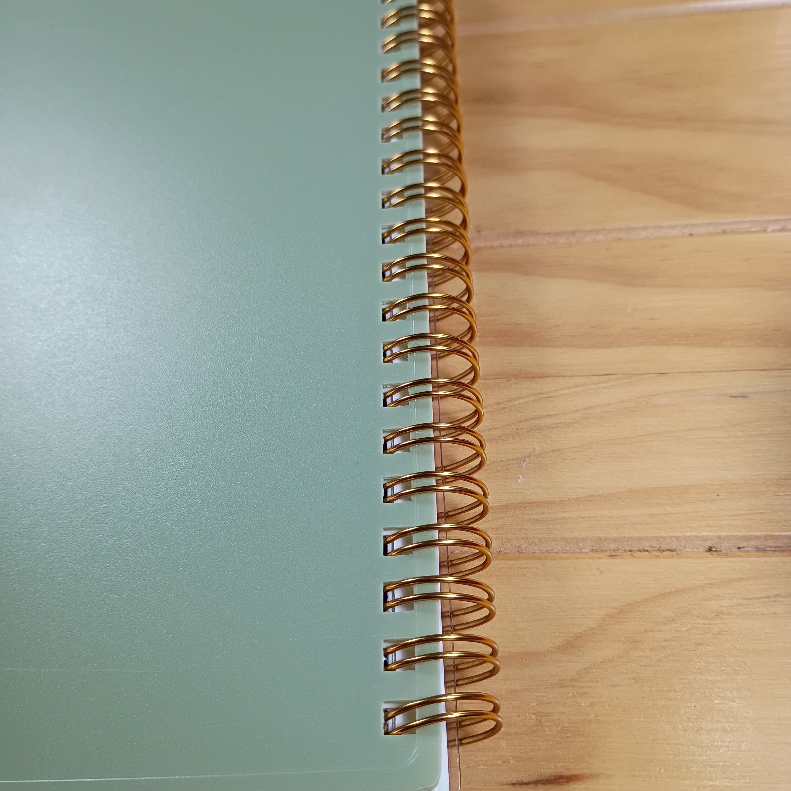 Day Disigner For Blue Sky Weekly Monthly Calendar 2026 8 1/2 x 11 In Wire-O New.