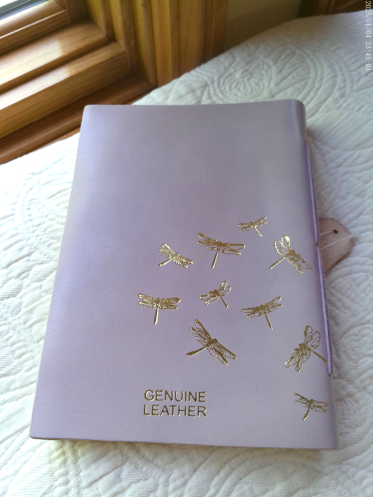 GENUINE LEATHER HANDMADE 144 LINED PAGES INDIA DRAGONFLIES YES TO NEW ADVENTURES
