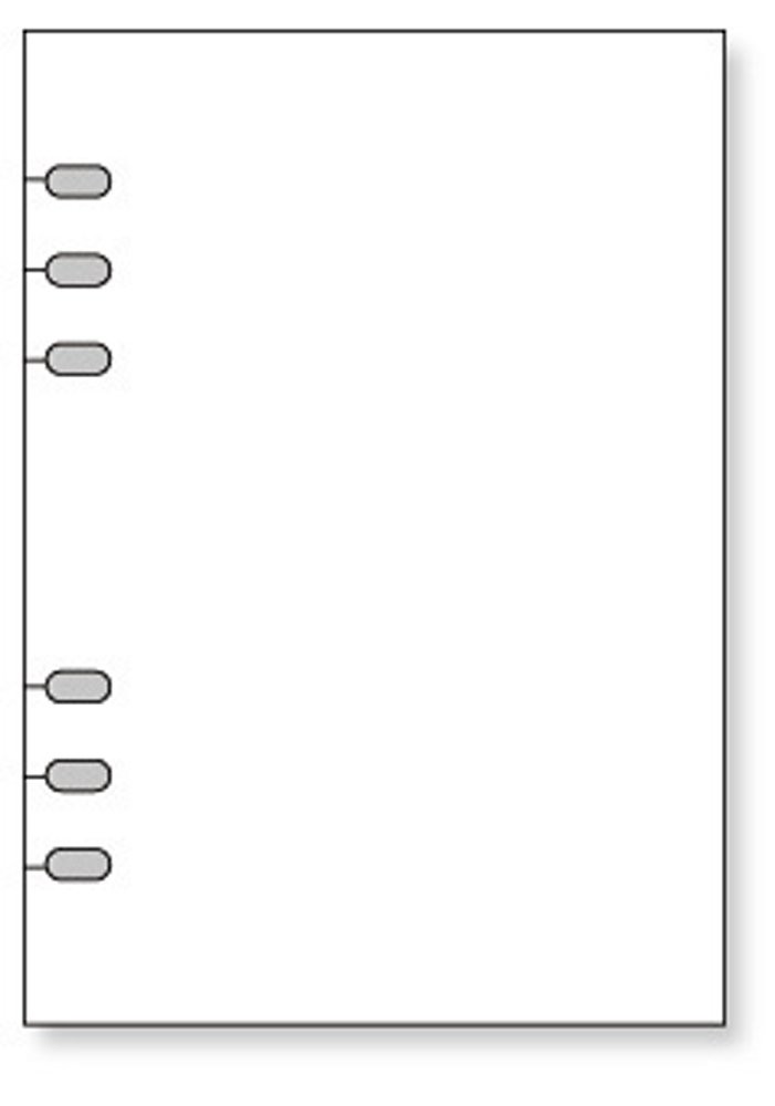 Raymay Fujii System Planner Refill Keyword Guide Protector A5 WWAR401