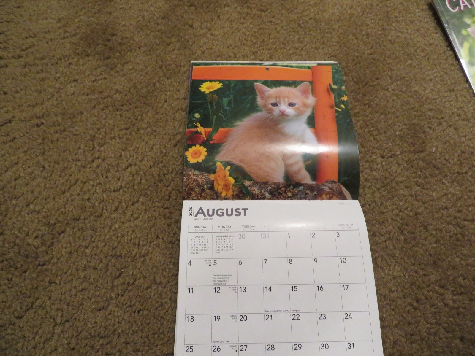 Brown Trout Love of Kittens Mini Wall Calendar 7″ x 7″ Good Cond.