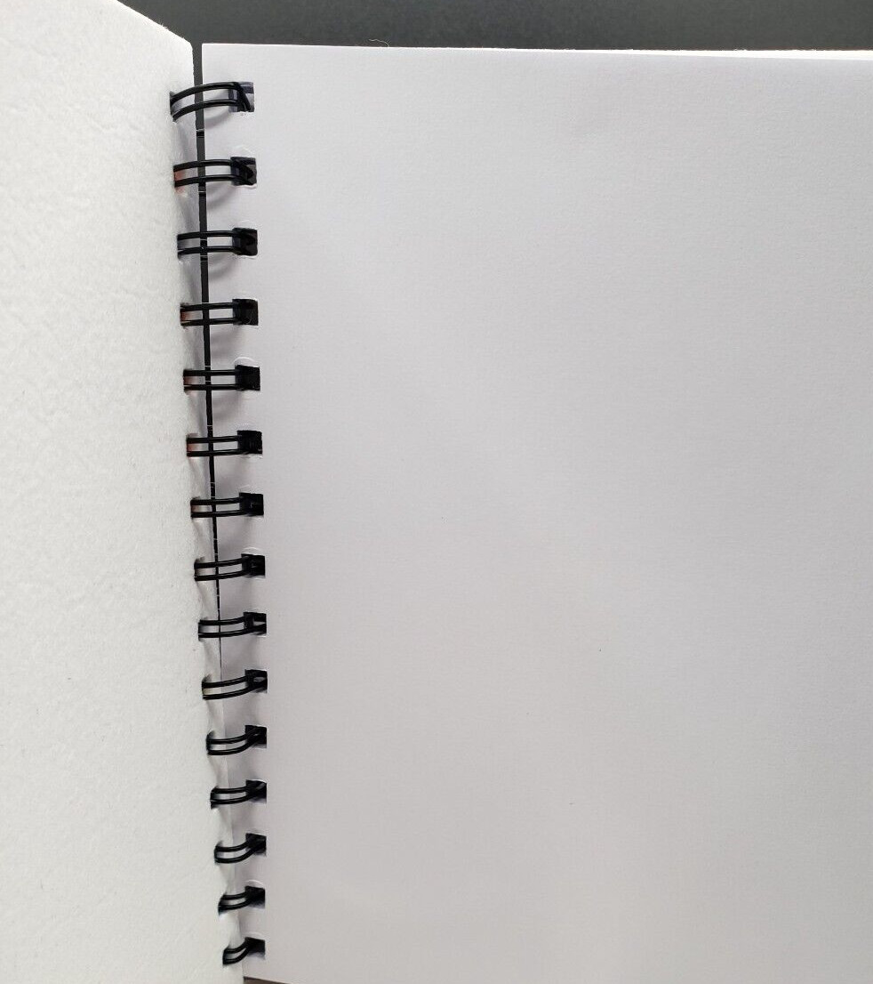 Anime Girl Blank Notebook-Unlined-NEW-Spiralbound