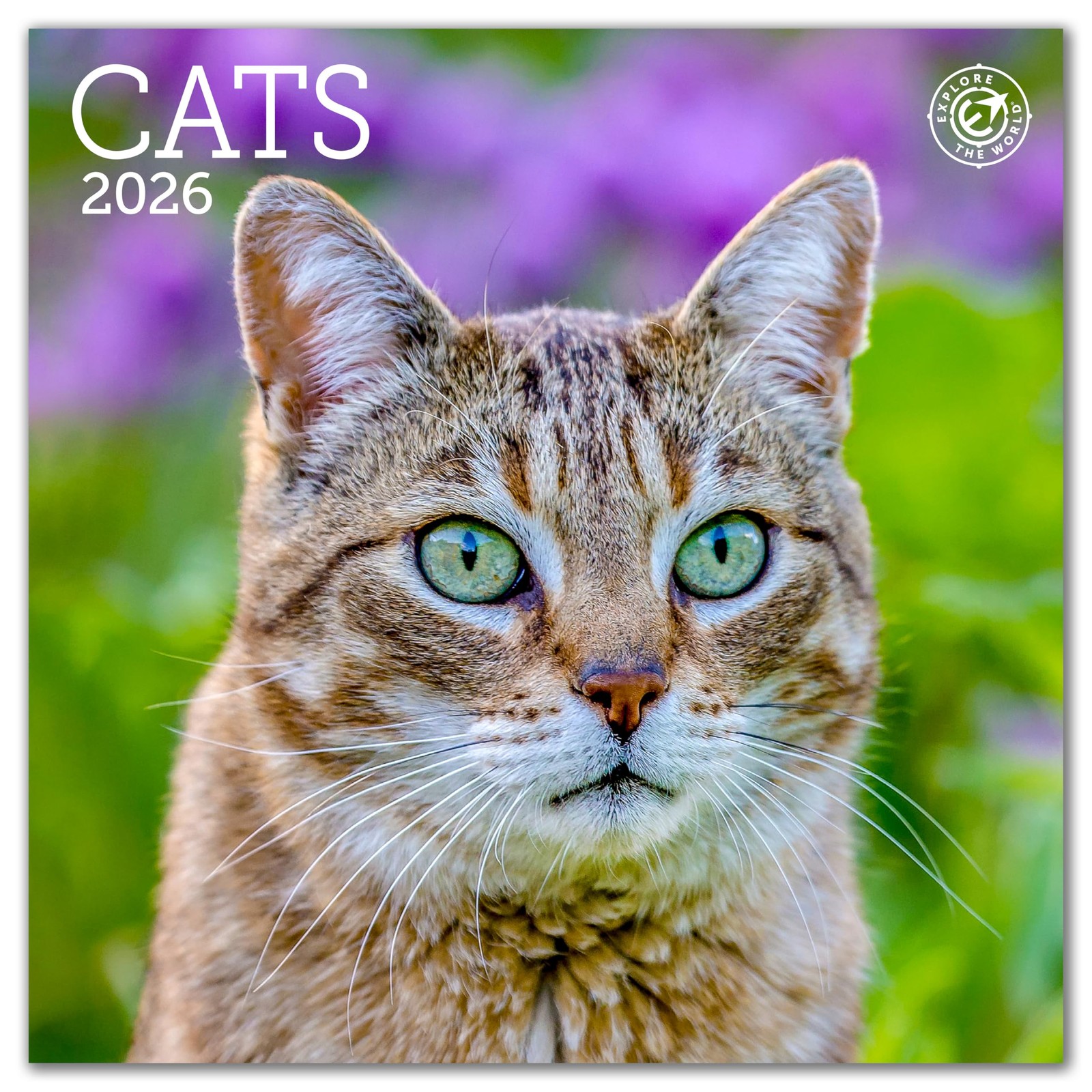 Cats Mini Wall Calendar 7″ x (2026) 7″W x 7″H, Multicolor