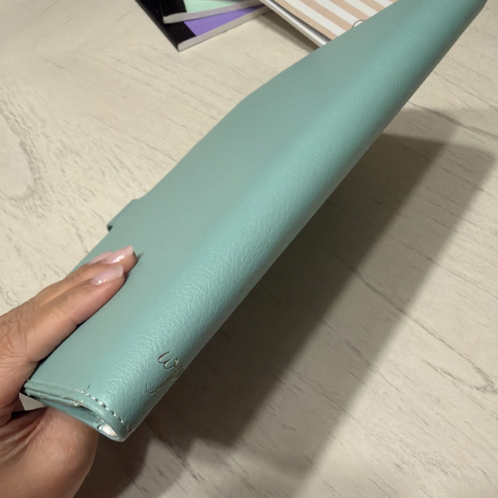 Webster’s Pages Composition Planner Cover Portfolio Green Mint Set Mystery Rare