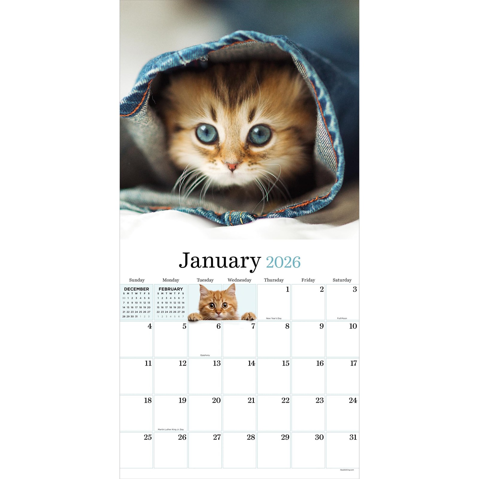 TF Publishing 2026 Kittens Wall Calendar – Large Grids for Appointments Multi