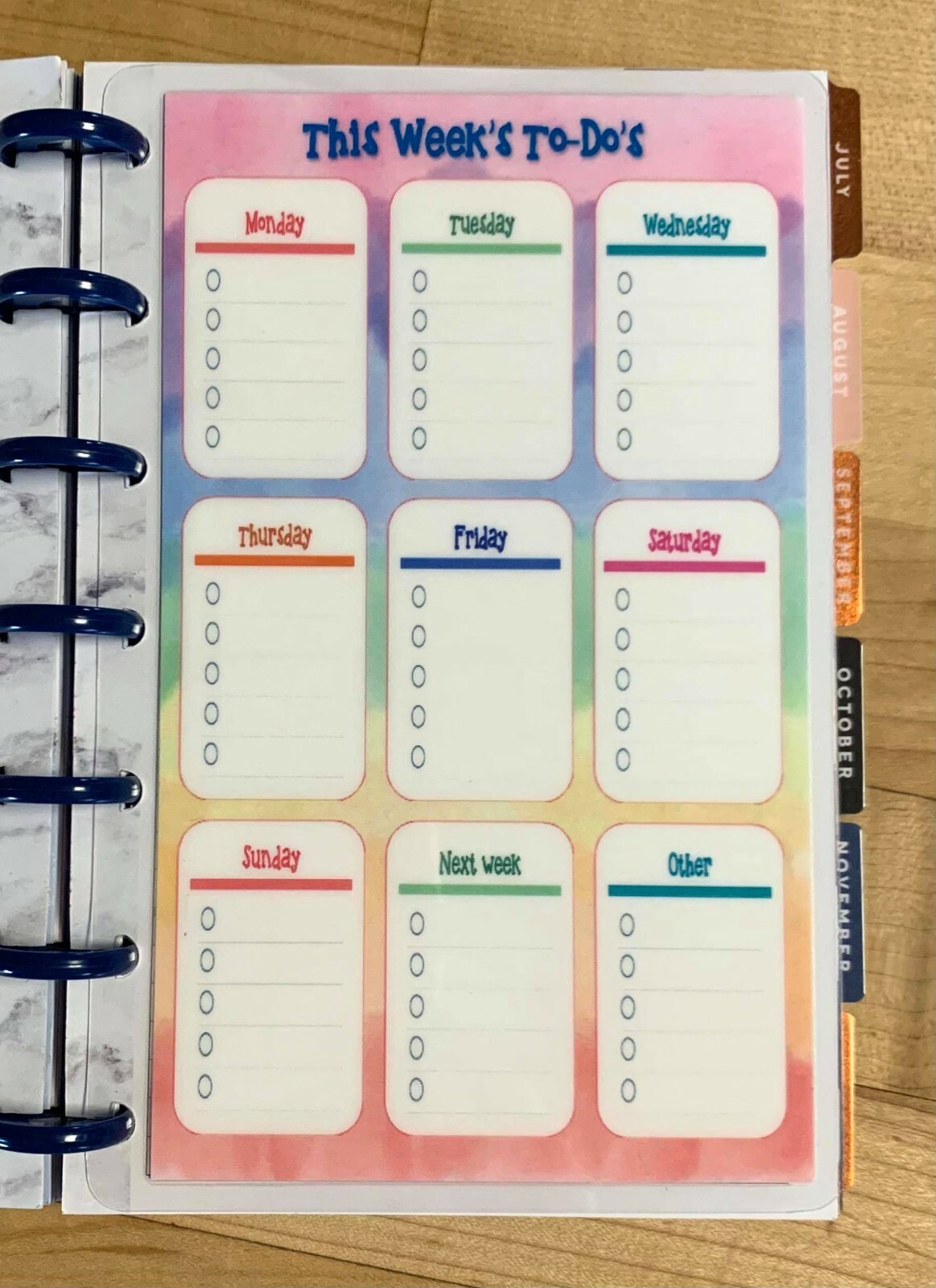 This Week’s To-Do’s 2 Sided Dashboard Insert for use with MINI Happy Planner
