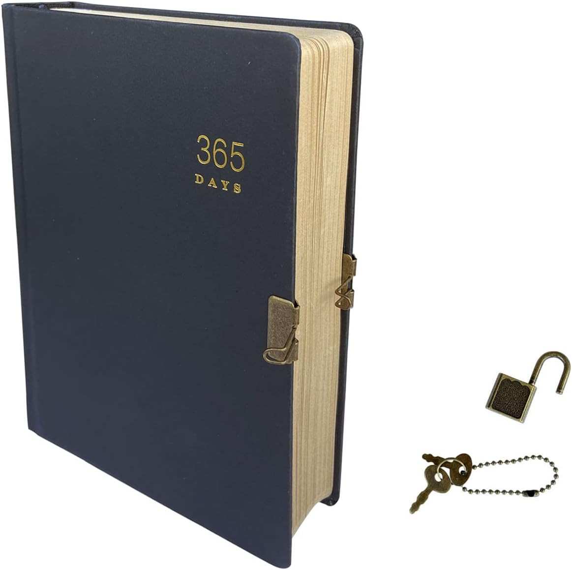 Blank Journal Notebook with Lock and Keys for Women, Men, Writing | 365 Pages, 1