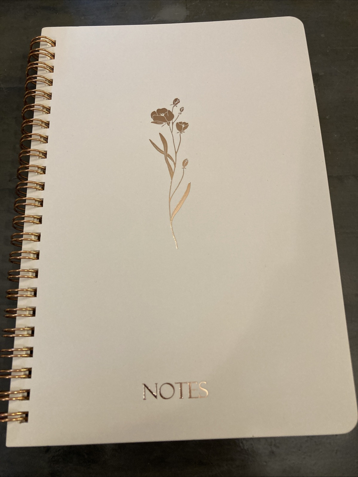 Twin-Wire Binding Notebook 160 Pages Wide Ruled Business Journal with Pocket