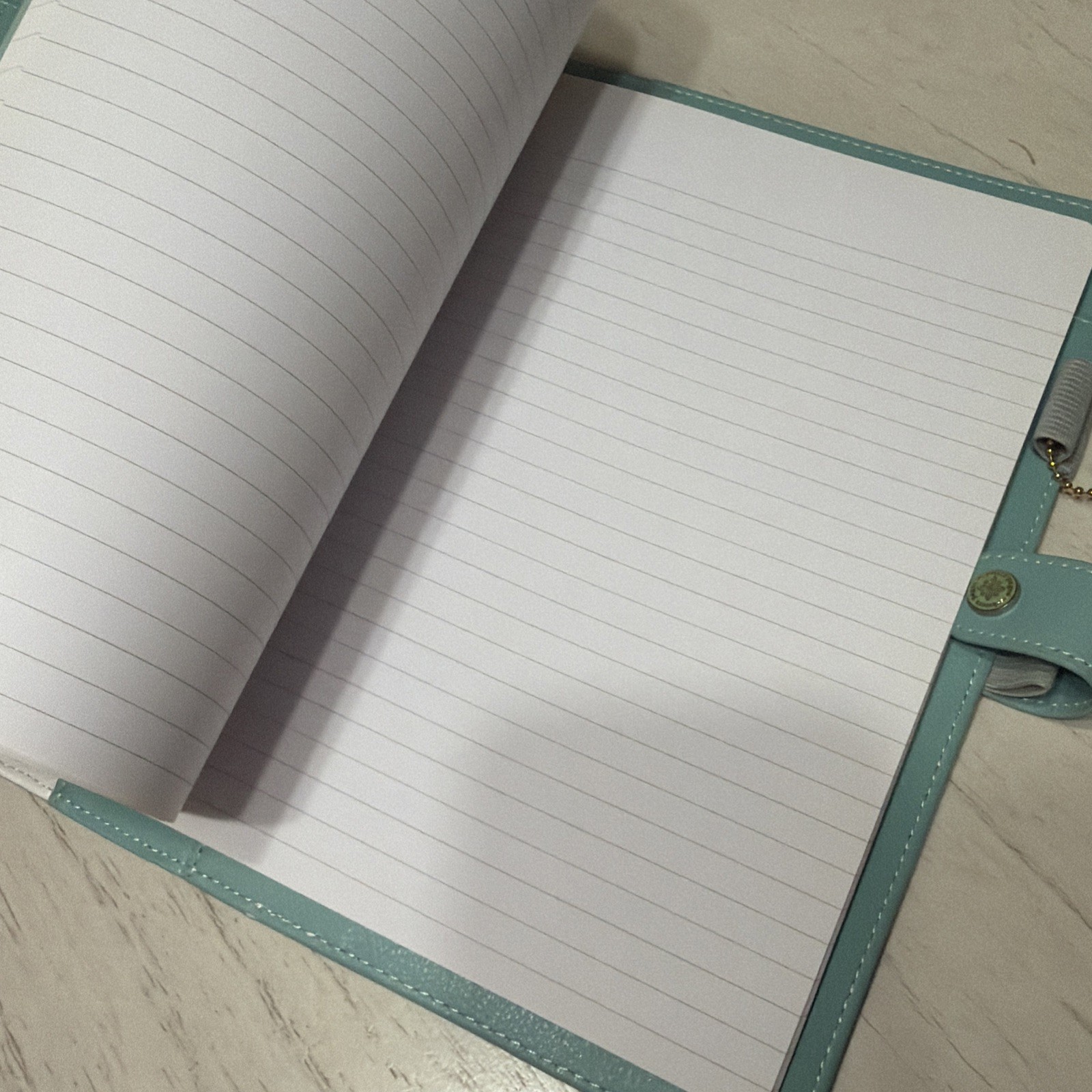 Webster’s Pages Composition Planner Cover Portfolio Green Mint Set Mystery Rare