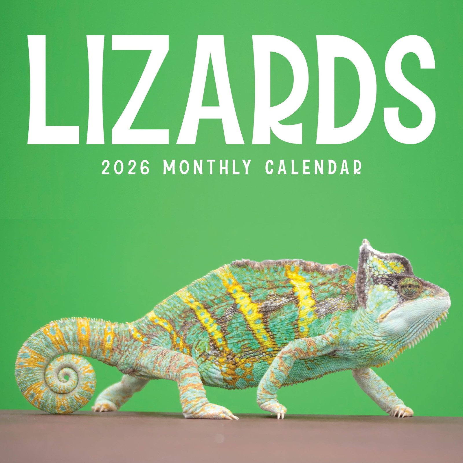 Lizards 2026 Calendar | Reptile Monthly Wall Planner | Geckos,