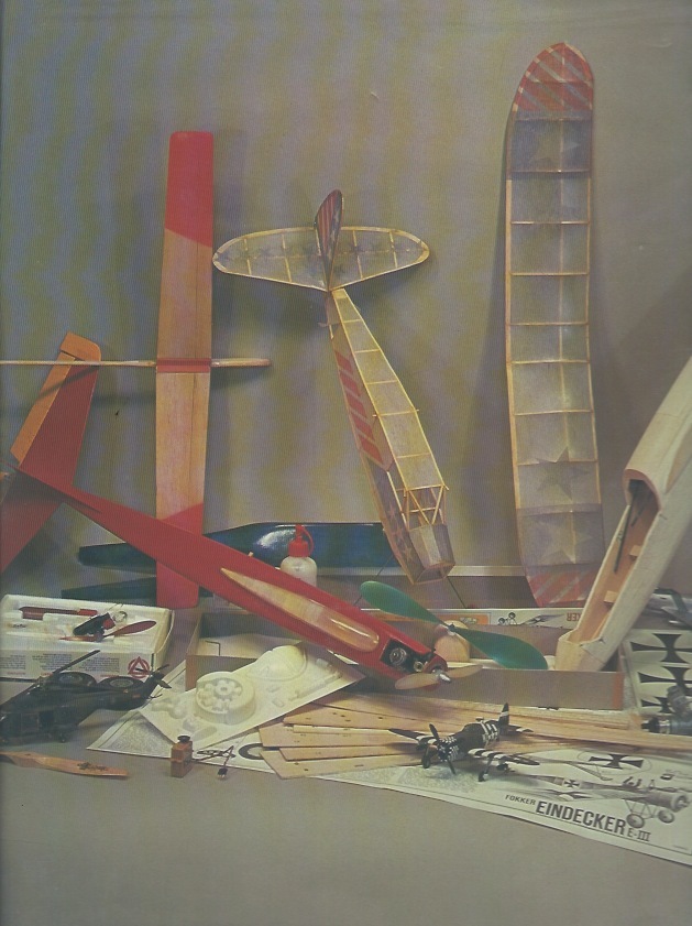 The World of Model Planes by Martin Hedges, 192 Pages of Model Plane Hobby Info