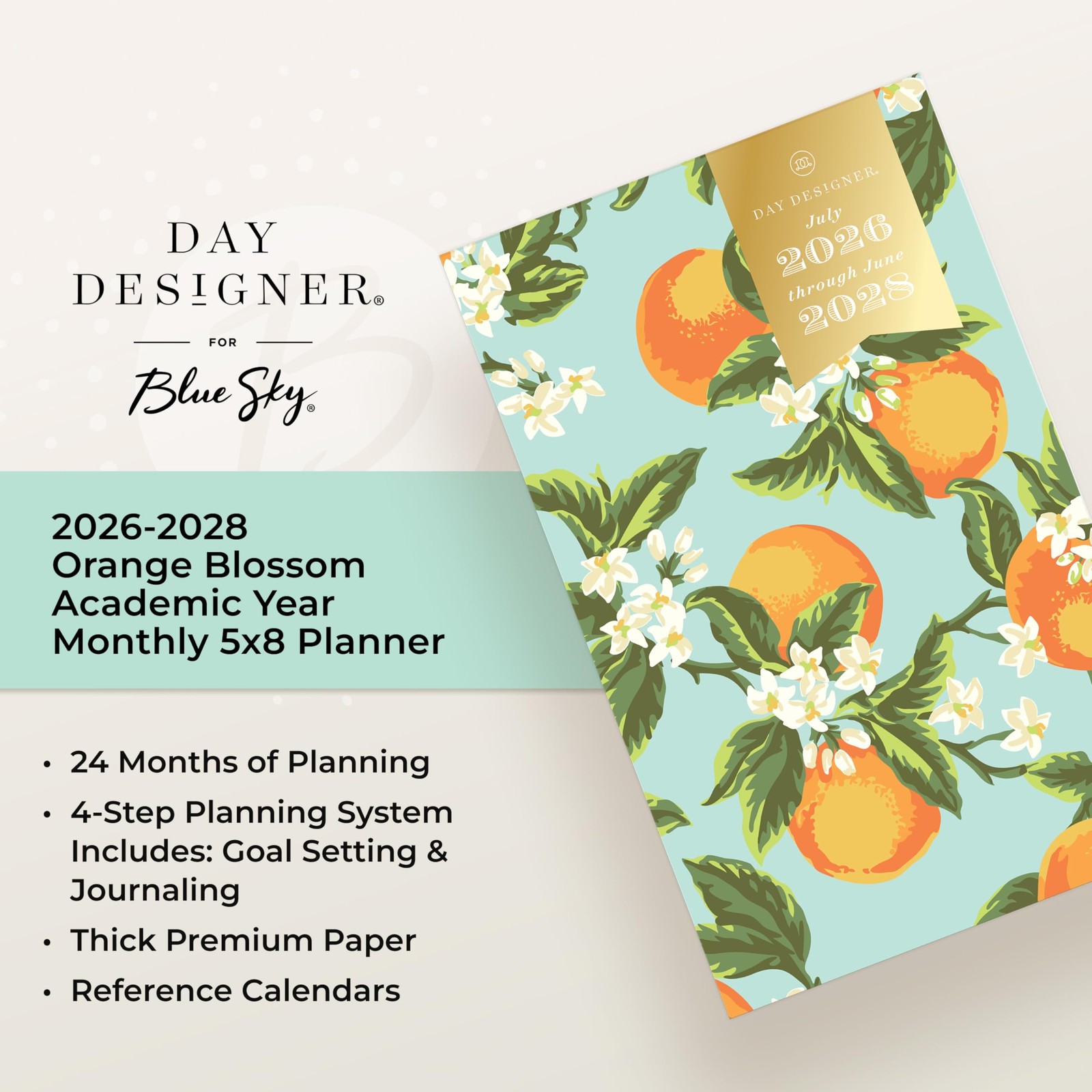 Blue Sky Day Designer 2026-2028 Monthly Academic Year 24 Month Planner Calend…