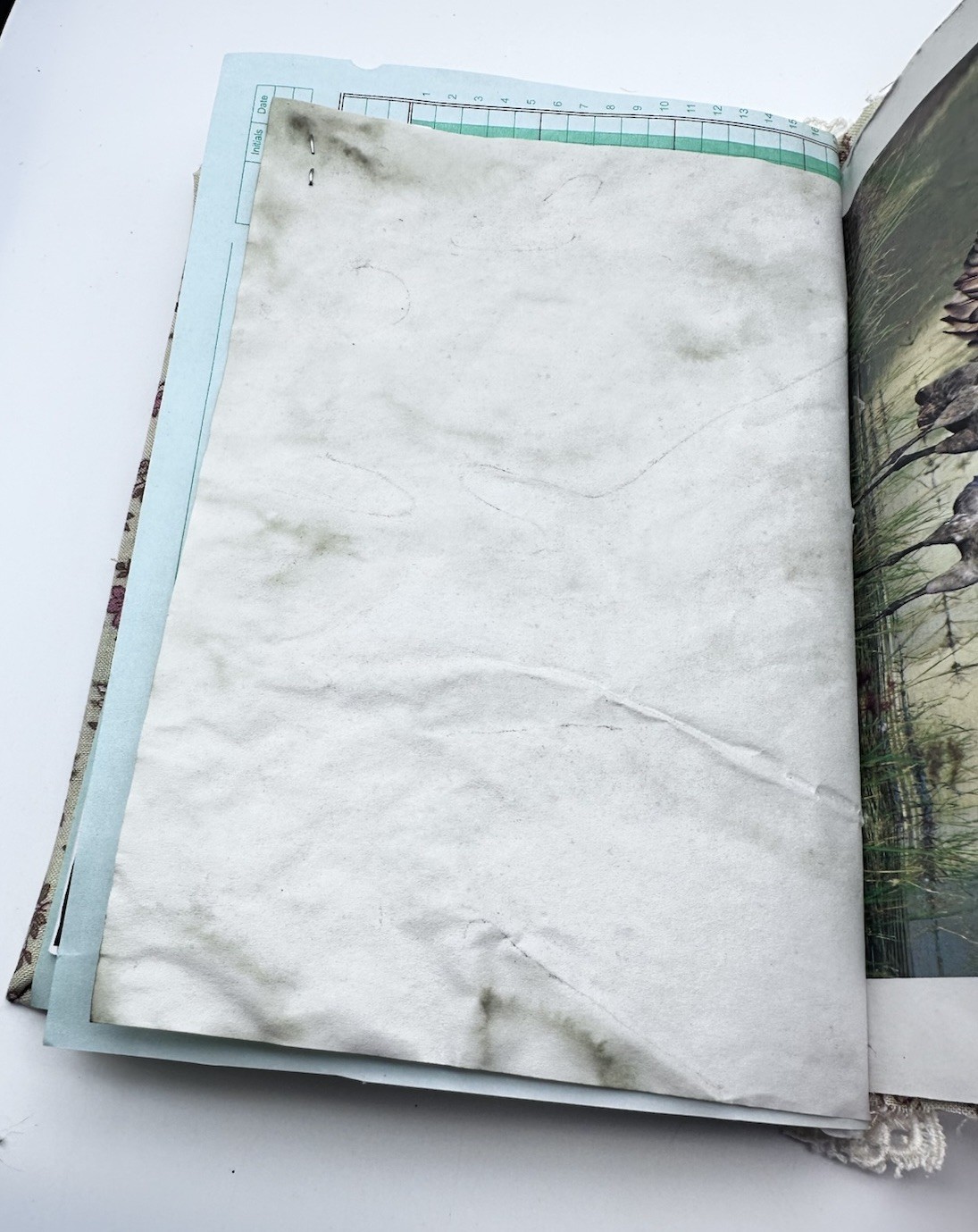 Junk Journal Bird Themed 8×6 Inches With Coffee Dyed Paper For Journaling
