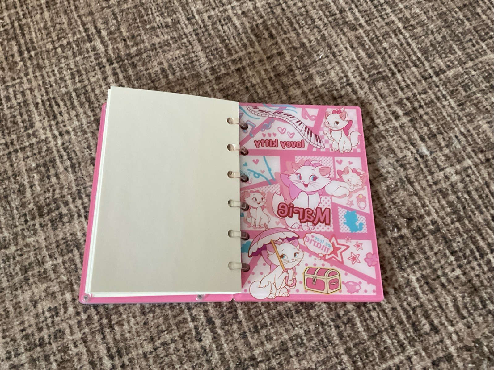 A6 Pocket Marie The Cat Shaker Notebook With Plain Pages