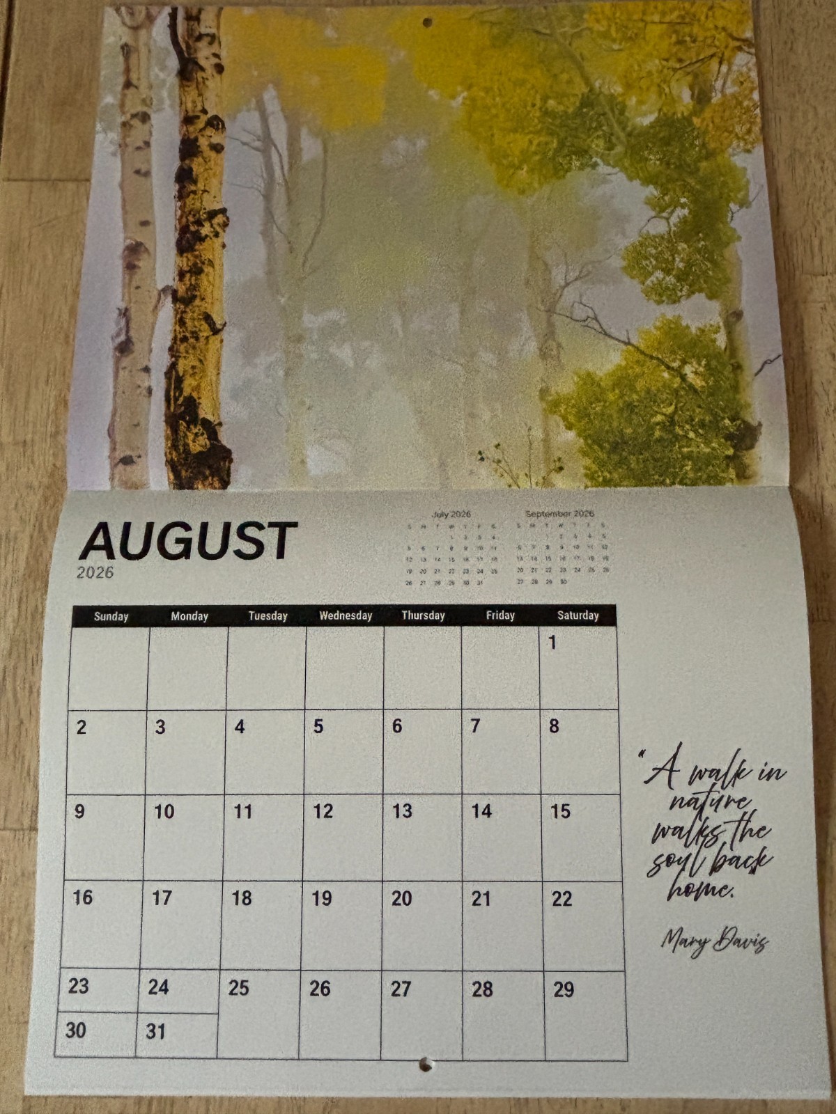 Tree Chronicles – 2026- 12-Month Wall Calendar – Great Tree Photography!