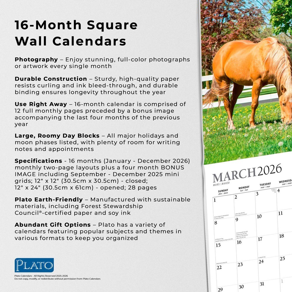 Magnificent Horses | 2026 12×24″ (Hanging) Monthly Square Wall Calendar