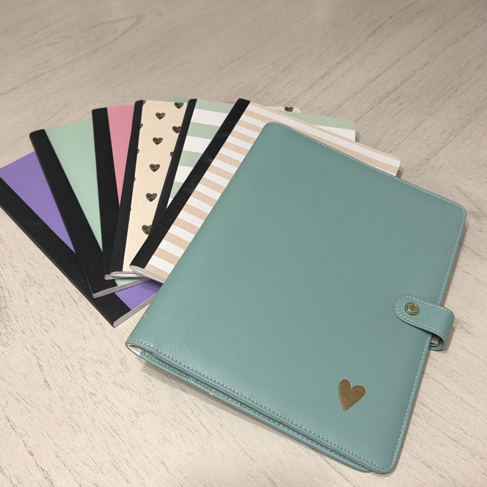Webster’s Pages Composition Planner Cover Portfolio Green Mint Set Mystery Rare