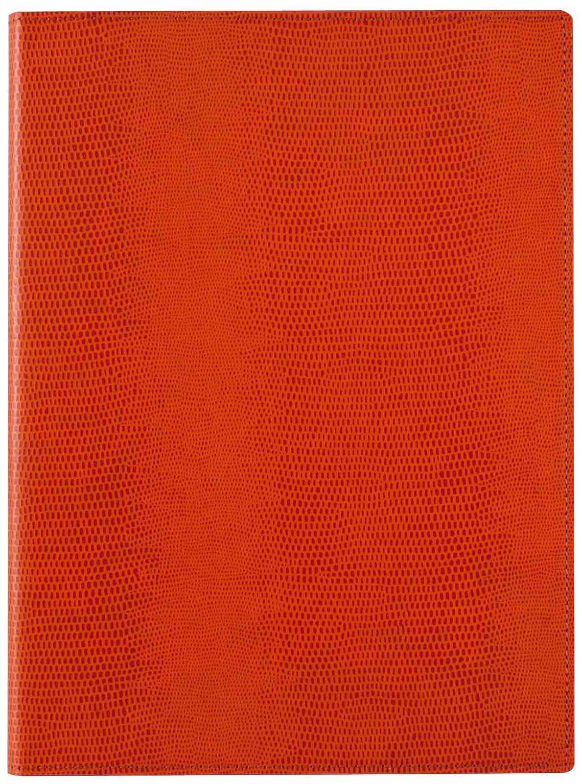 Reimei Fujii Zeitvector Notepad, B5, Orange, ZVP233D