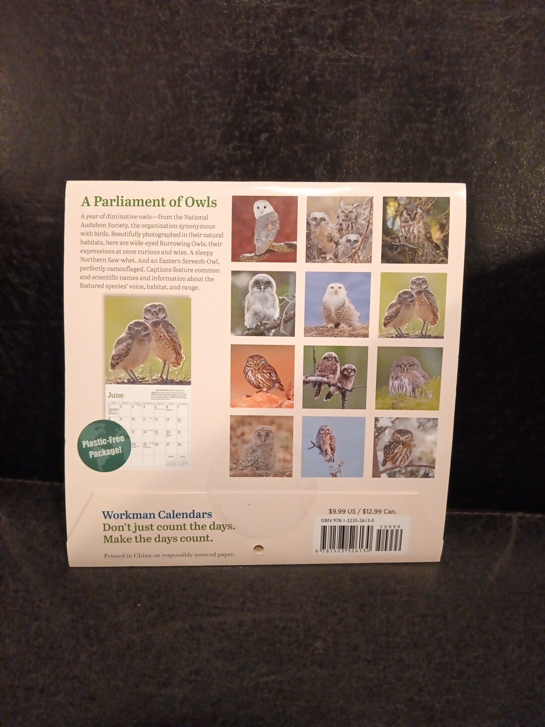 LITTLE OWLS Audibon 2025 7″ x 7″ Mini Wall Calendar (New & Sealed)
