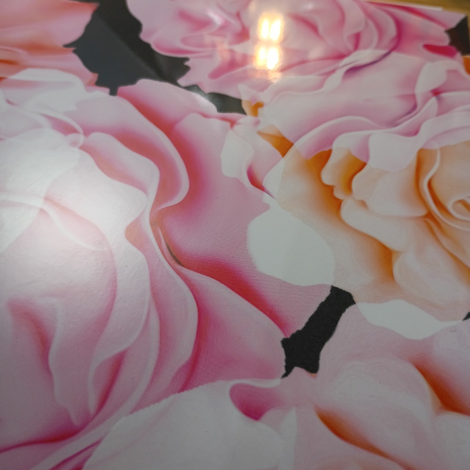2026 Blue Sky Monthly Planner, 8″ x 10″, Joselyn, January To December New.