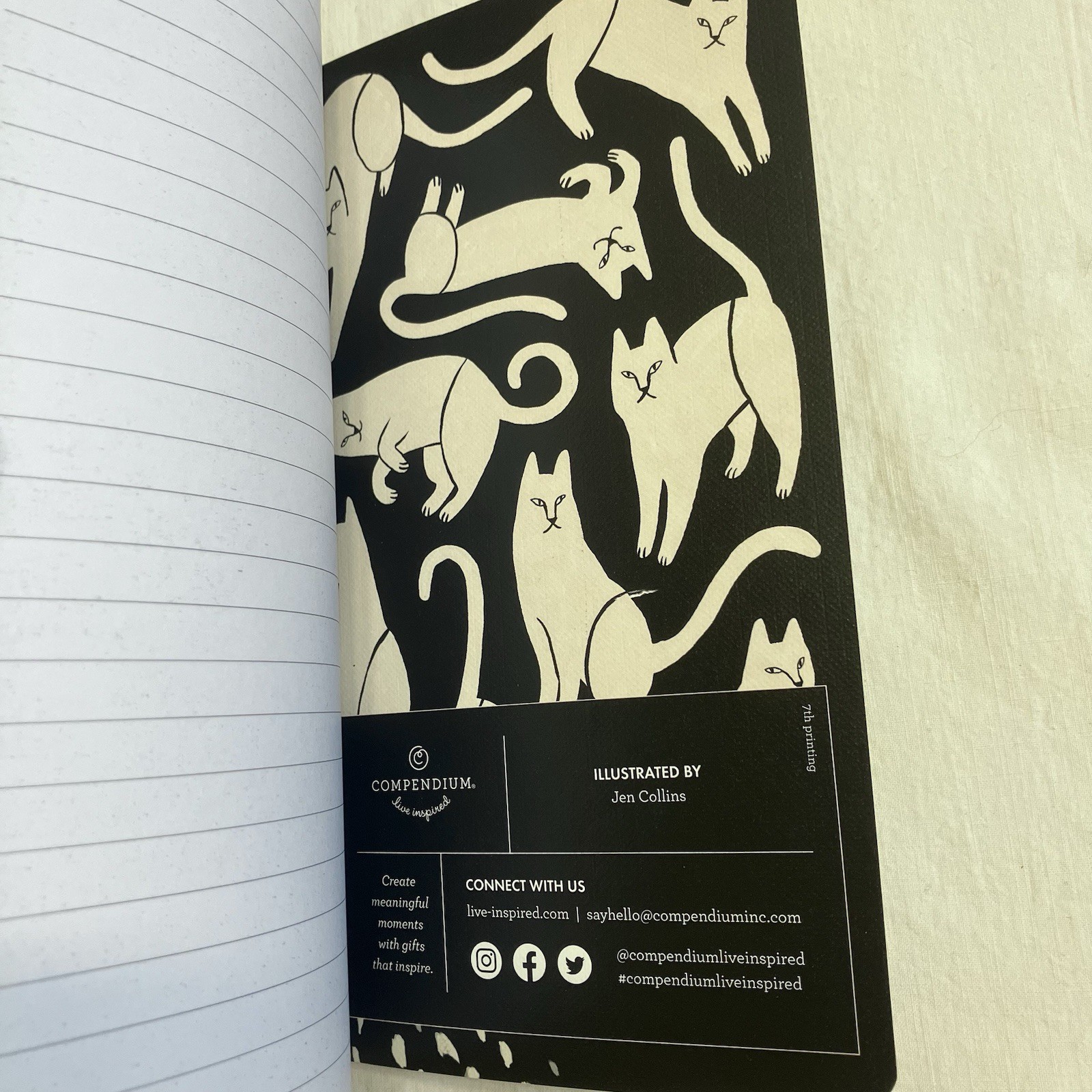 “There Are No Ordinary Cats” Colette 5×8″ Journal 128 Pages Lined NEW Compendium