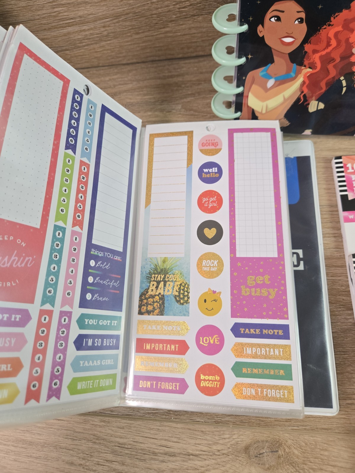 Happy Planner Haul Mix Lot. Disney Binder, 80+ Mics Calander Stickers. Get Fit