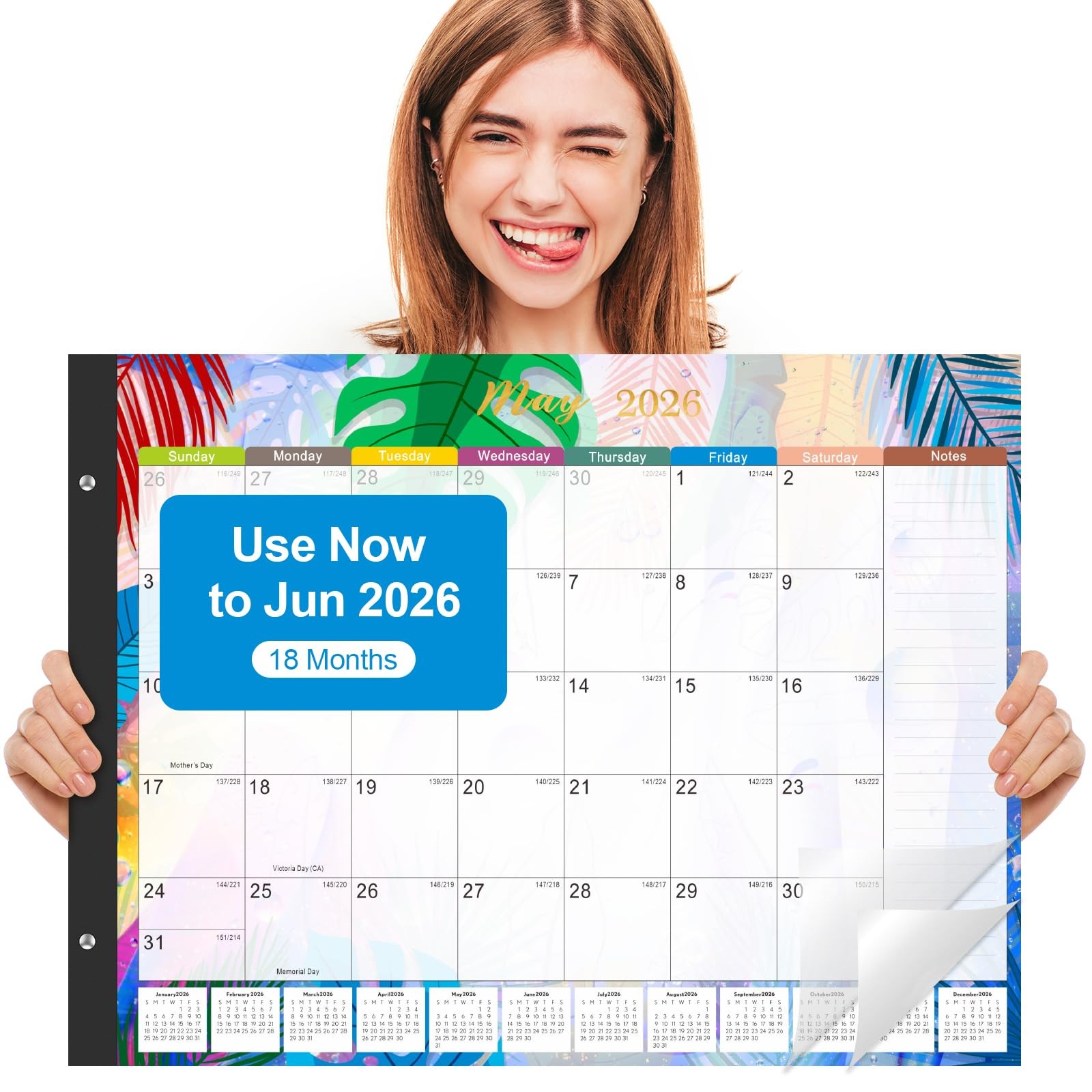 Gannyfer Desk Calendar 2026-2027 – 18 Month Large Large, Colorful